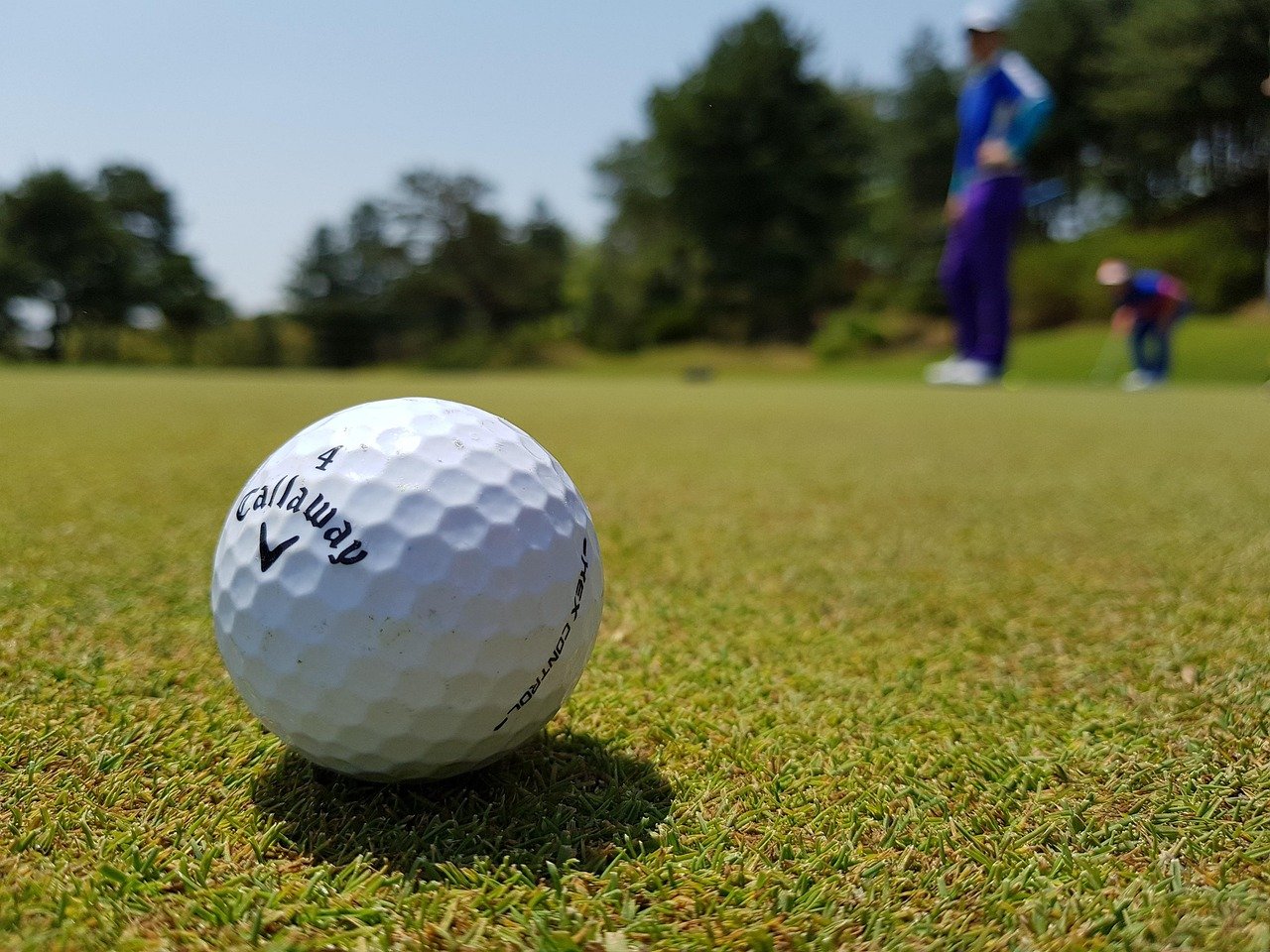 Cleveland Golf Halo XL Hy-Wood